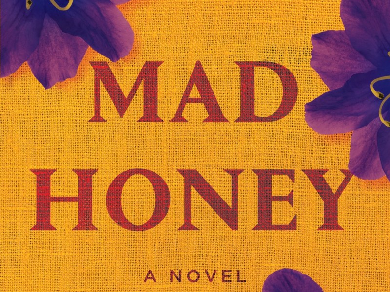 Mad Honey – Jodi Picoult & Jennifer Finney&nbsp;Boylan