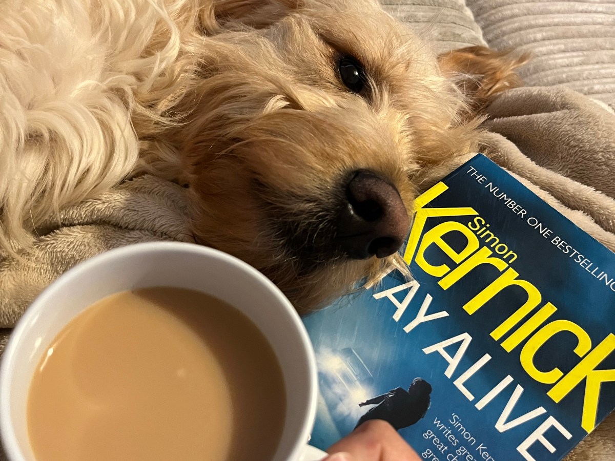 Stay Alive – Simon&nbsp;Kernick